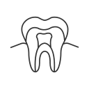 Vital Pulp Therapy / Pulpotomy