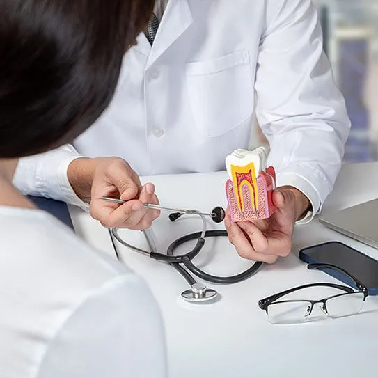 Guiding You Through the Root Canal Process