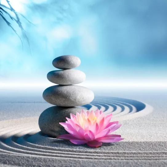Sedation Dentistry Falls Church: A Zen-Like Approach to Stress-Free Care