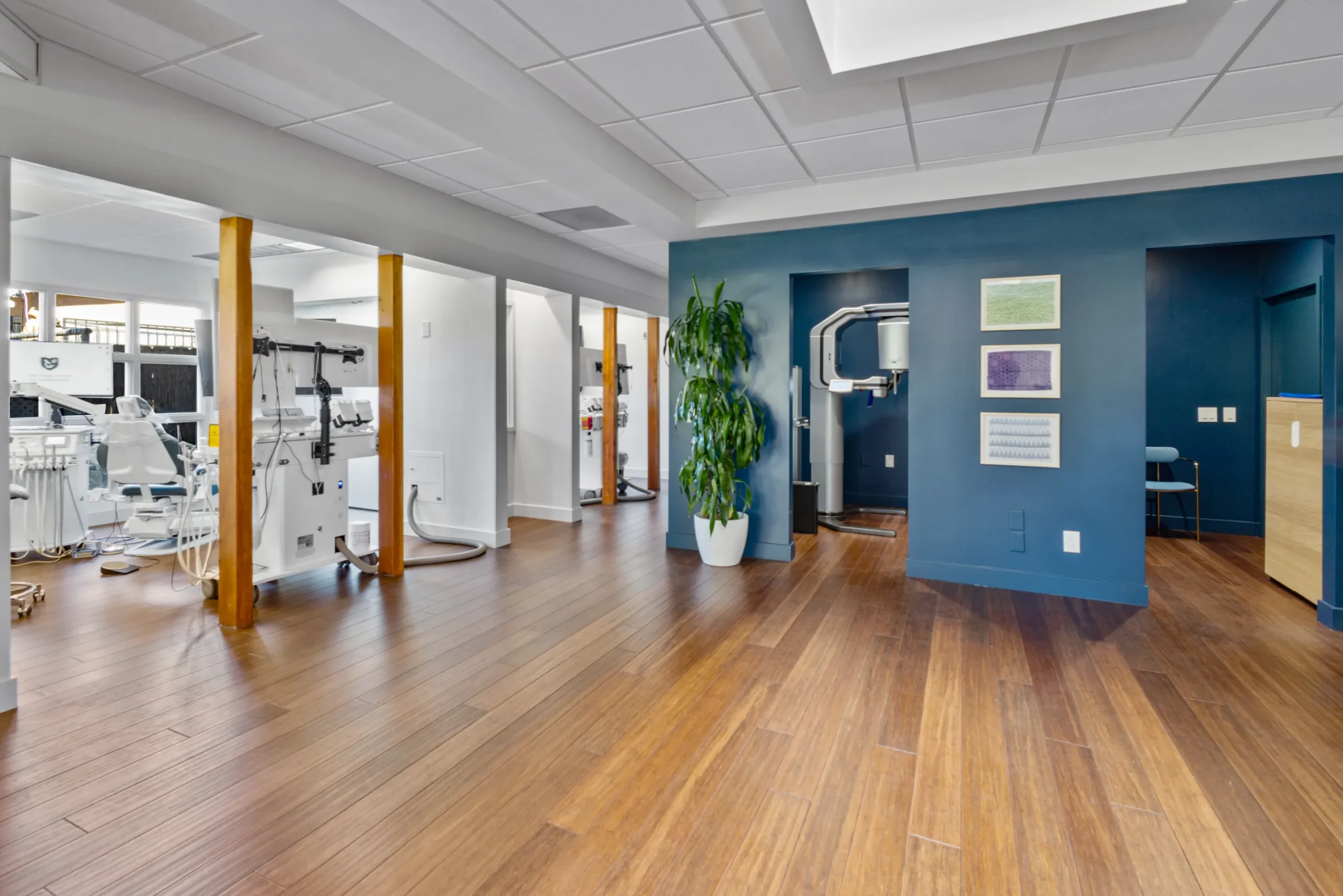 Interior view of a modern dental treatment area with dental chairs, equipment arms, teal accent walls, wood-look flooring, and a large potted plant near an X-ray machine alcove.